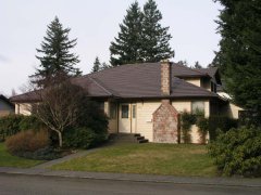 Coffee Brown Ironwood Shake