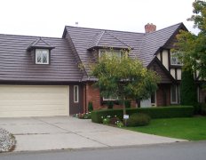 Dark Brown Ironwood Shake