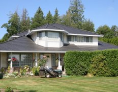 Dark Brown Ironwood Shake