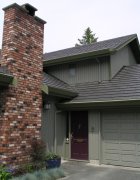 Dark Brown Ironwood Shake