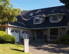 Dark Brown LG Ironwood Shake