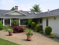 DarkBrown Ironwood Shake