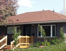 Terra Cotta LG - IronStone Slate